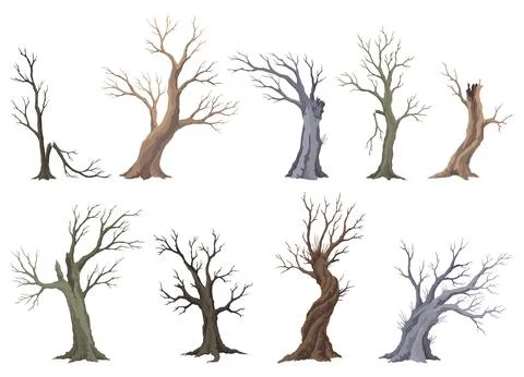 Old dead tree set, rough spooky bark, dry naked branch silhouette. Vector scary Stock Illustration