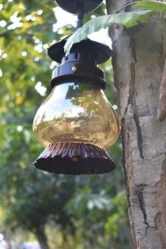 A old decorative lantern hung in a tree Foto stock