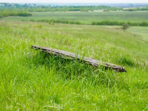 Old decrepit bench in the park. Stock Photos