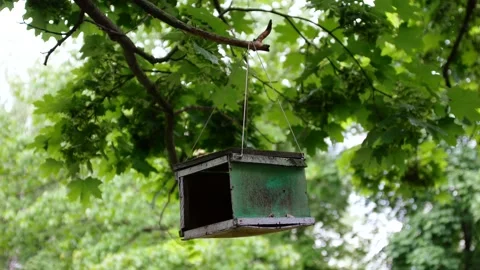 An old, decrepit bird feeder  Stock Footage 131228129