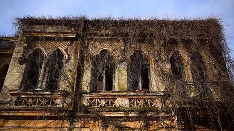 Old deserted house facade covered in arid ivy in autumn season 스톡 동영상 126349964