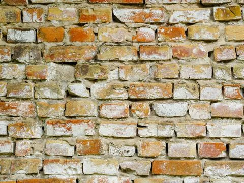 Old destroyed brick wall with red sprouts as a background Stock Photos