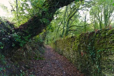 Old dirt road Stock Photos