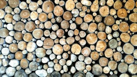 Old dirt tree stumps background Stock Photos