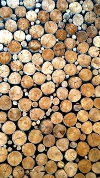 Old dirt tree stumps background Stock Photos