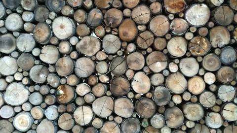 Old dirt tree stumps background Stock Photos