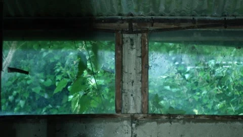 Old dirty basement garage window Stock Footage 279574487