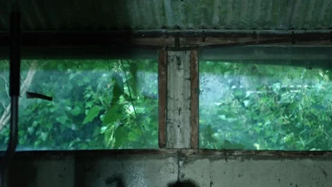 Old dirty basement garage window Stock Footage 282166073