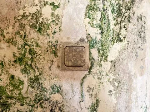 Old dirty light switch on a weathered wall covered. 스톡 사진