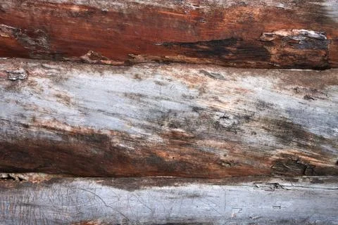 Old dirty log texture texture Stock Photos