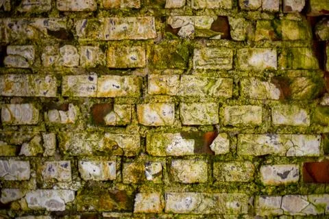Old dirty with rough texture wall. White-green color. architectural construct Stock Photos