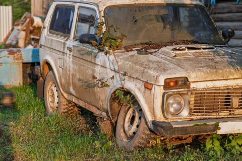 Old dirty SUV with tree growing through it shows nature reclaiming human spaces Stock Photos