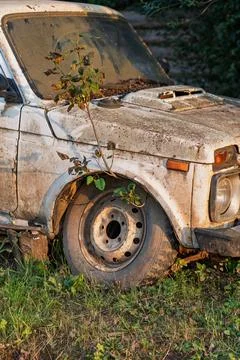 Old dirty SUV with tree growing through it shows nature reclaiming human spaces Stock Photos