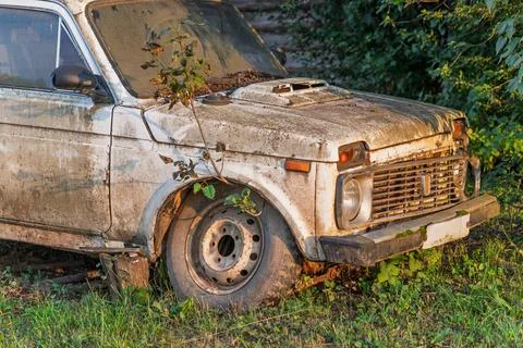 Old dirty SUV with tree growing through it shows nature reclaiming human spaces Stock Photos