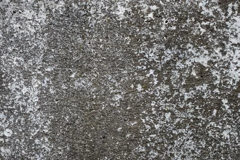 Old dirty texture, grey wall background. Cemen Stock Photos