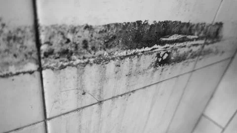 Old dirty tile wall with mud Stock Photos