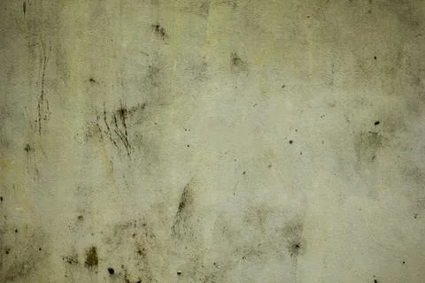 Old dirty white wall with deep scratches and stains of dirt and mold. rough t Stock Photos