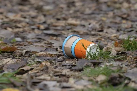 Old disposable coffee cup in the forest. Take away food industries impact o.. Stock Photos