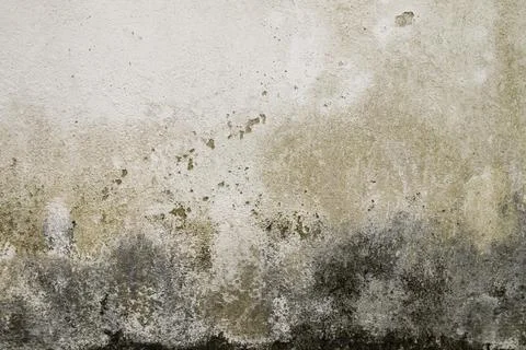 Old distressed wall background or texture Stock Photos