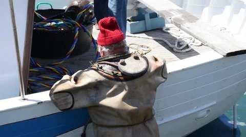 An old diver plunges Video stock 63931441