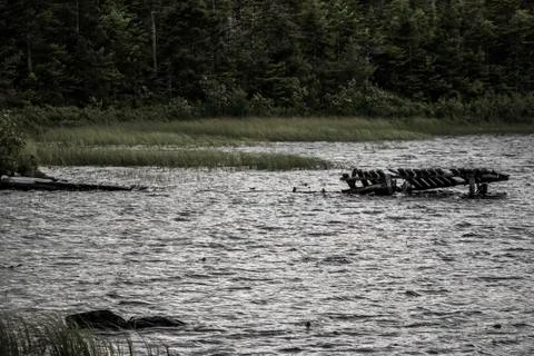 A old dock in Newfoundland Stock Photos