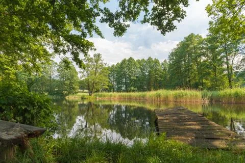 The old dock on the pond Stock Photos