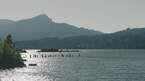 Old Dock Posts in Columbia River - Columbia Gorge Oregon Stock-Footage 233827909