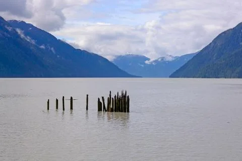 Old Dock Posts in an Ocean Bay Stockfoto's