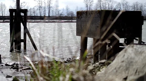 Old dock seen through river reeds Stock Footage 36426394