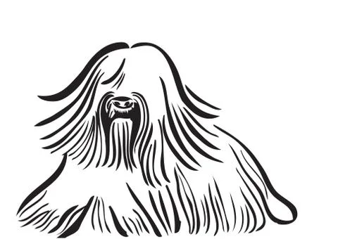 Old dog Stock Illustration