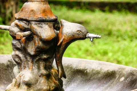 Old dolphin tap with one drop water falling showing crisis of water. save wat Stock Photos