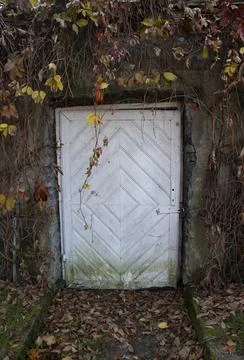 Old door in autumn Stock Photos