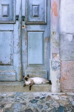 Old Door With Cat Stock Photos