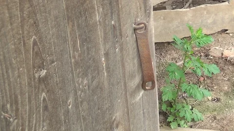 Old door locker from the old abandoned door Vídeo Stock 113280094