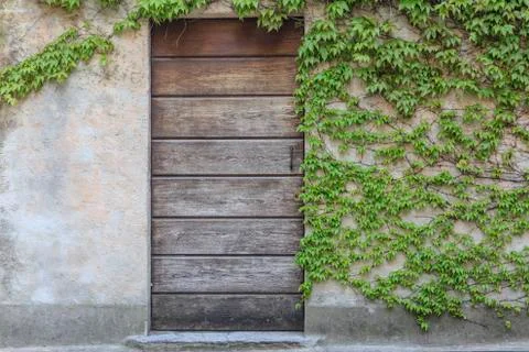 Old door Foto stock