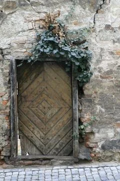 Old Door 库存照片