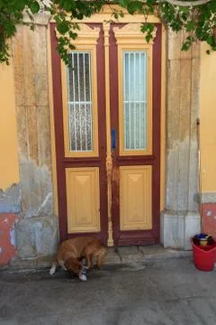 Old door Stock Photos