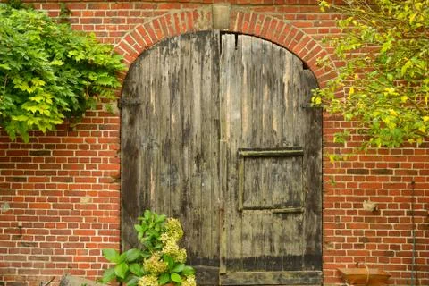 Old door. Stock Photos