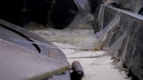 Old Door with Spiderweb - Slow Motion (Color) Video Stock Footage 296570543