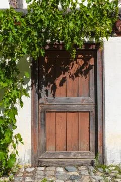 Old door with vines Stock Photos