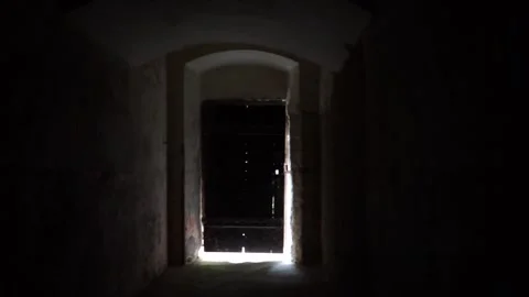 Old doors shine through the light Stock Footage 246757517