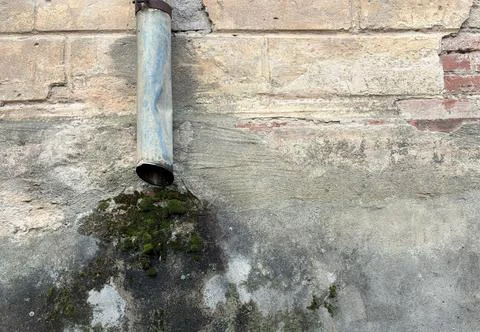 Old Drain Pipe with Moss on Weathered Wall Stock Photos