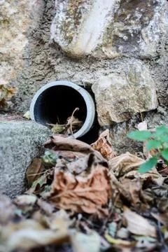 Old drainage with leafs Foto stock