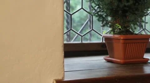 Old drawing Vídeo Stock 12627181