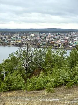 Old dried-up pine tree on a mountain called Bessonova near the town of Sysert Stock Photos