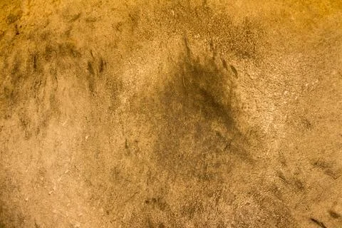 Old drumhead background. Stock Photos