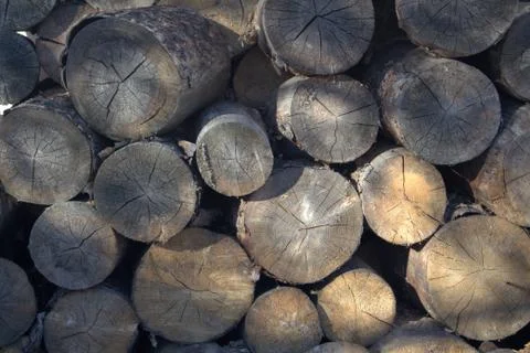 Old dry logs. Background image. Stock Photos