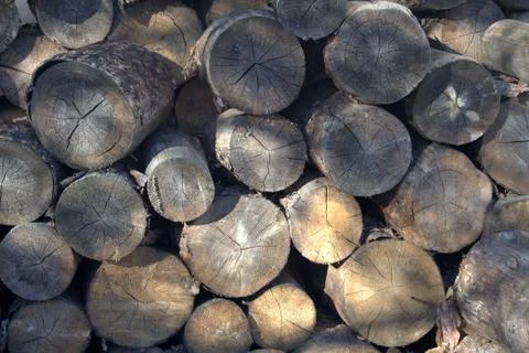 Old dry logs. View from a different angle. Background image. Stock Photos