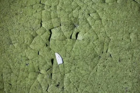  Old dry surface in the cracks. Piece of the pattern, a background or wall... Stock Photos