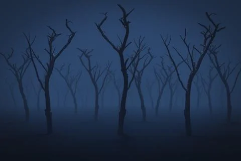 Old dry trees Illustrazione stock